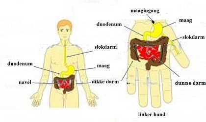 spijsvert5.jpg